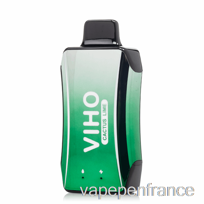 Viho Turbo 10000 Stylo Jetable à Vape à La Lime Et Au Cactus